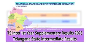 BIETS Supplementary Results 2023